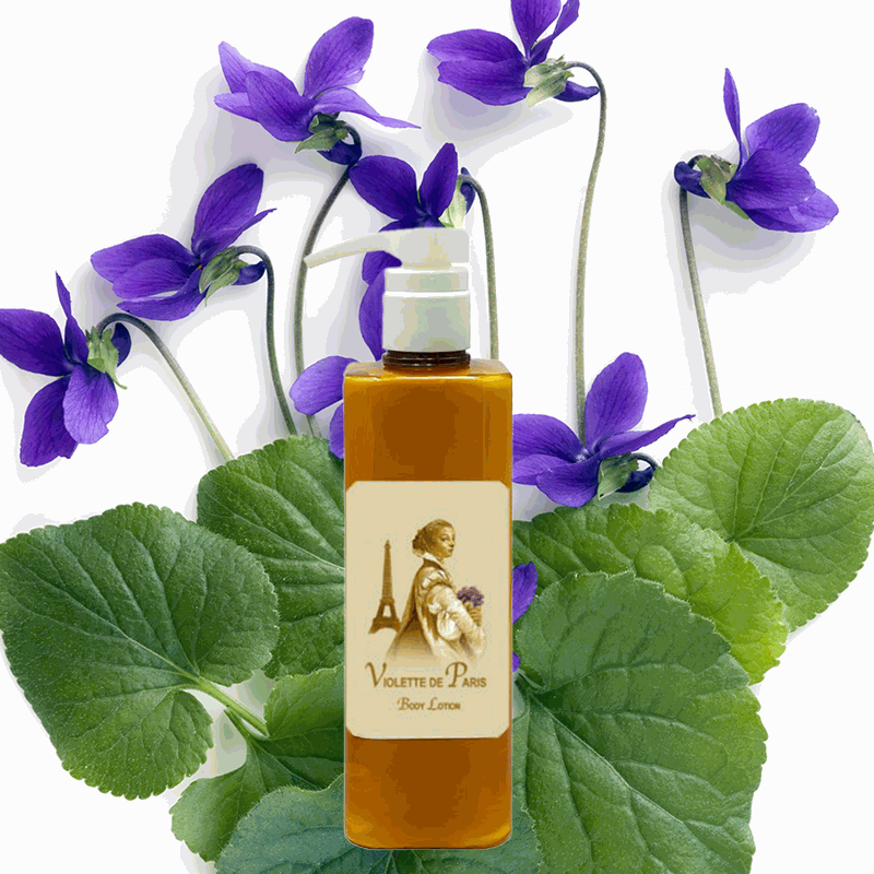 French Body Lotion – Violette de Paris Timeless Scent