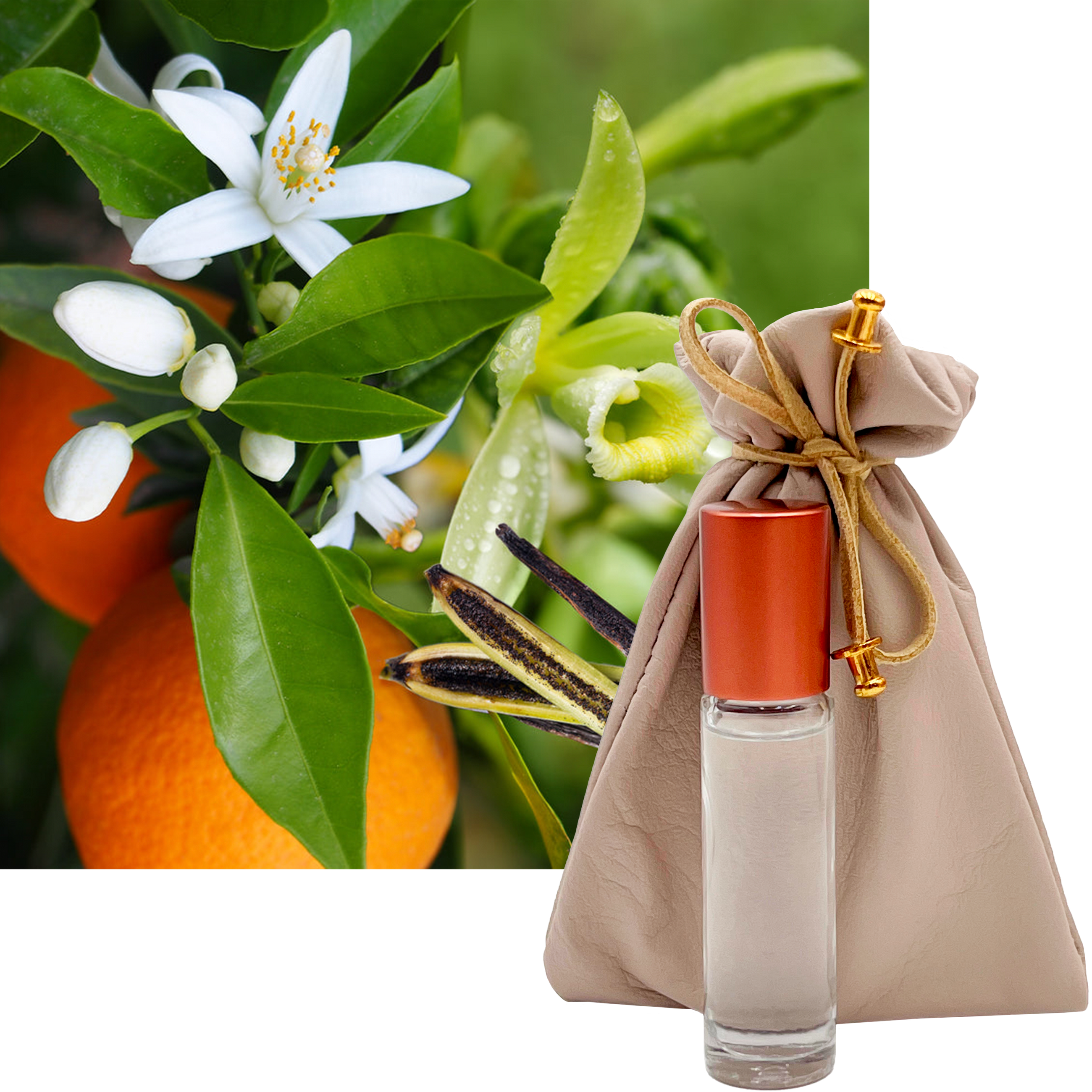 Pamplemousse Vanille French Perfume 10ml. Roll-On