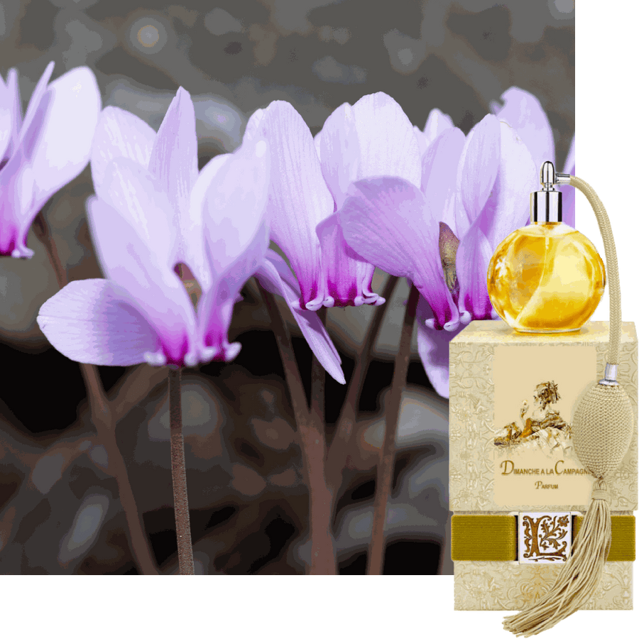 Dimanche a La Campagne