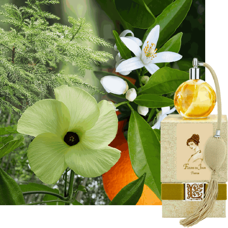 Fleurs du Jour / Marina Blue