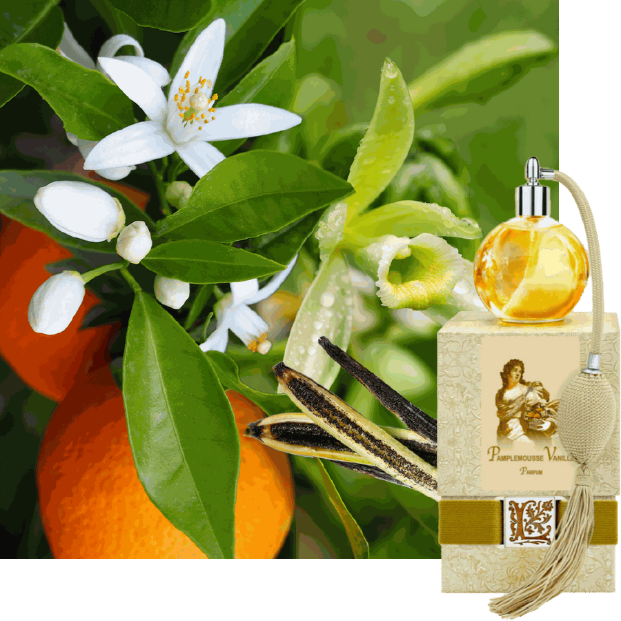 Pamplemousse Vanille