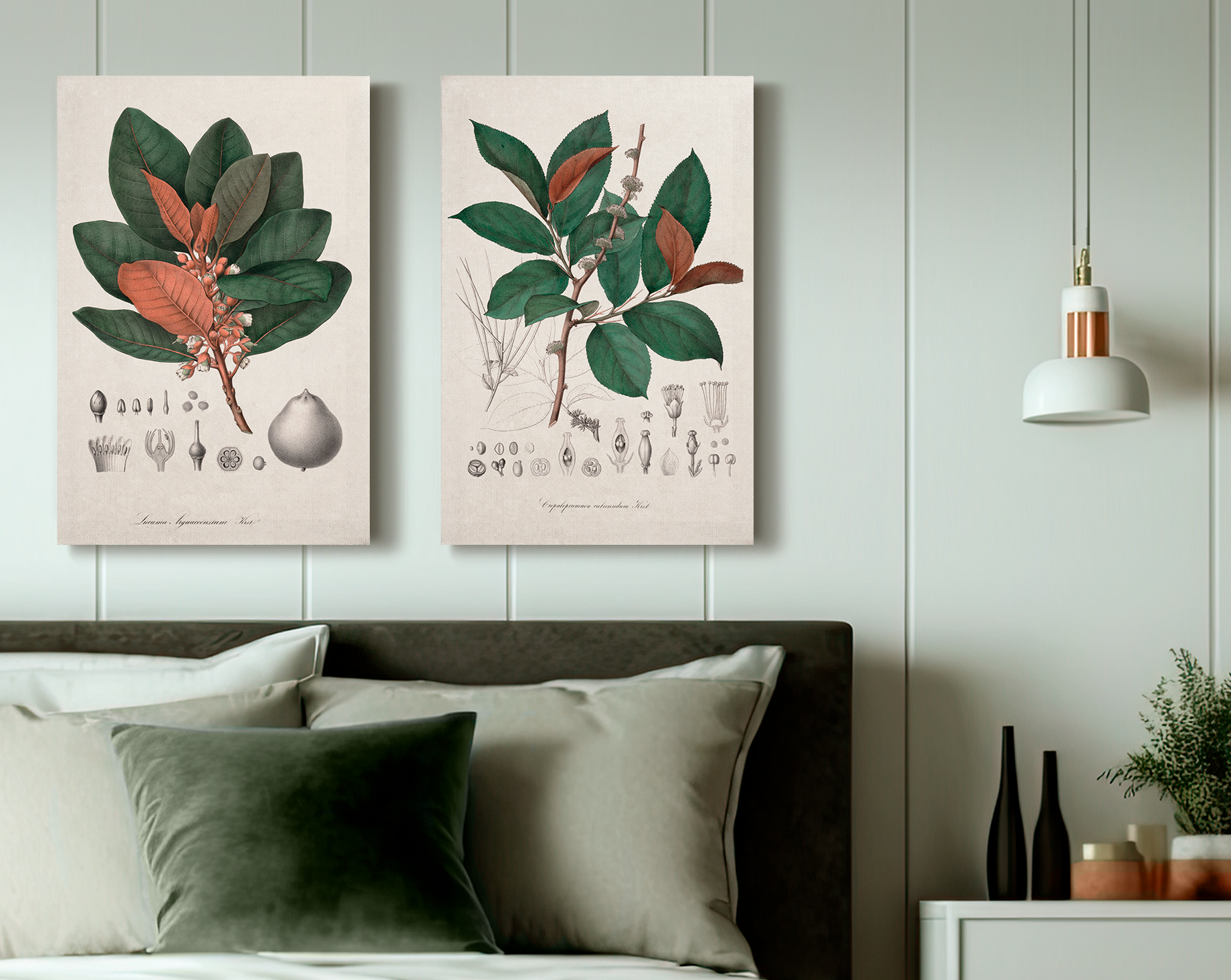 Tropical Botany | La Bouquetière