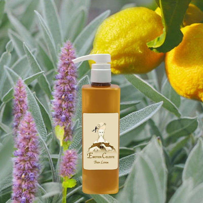 Lotion for Body – Emotion Celeste fragrance, Fresh - Floral