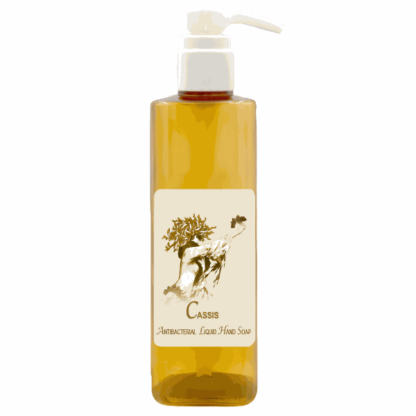 Cassis Antibacterial Liquid Hand Soap 20oz with aloe vera and natural cleansers.
