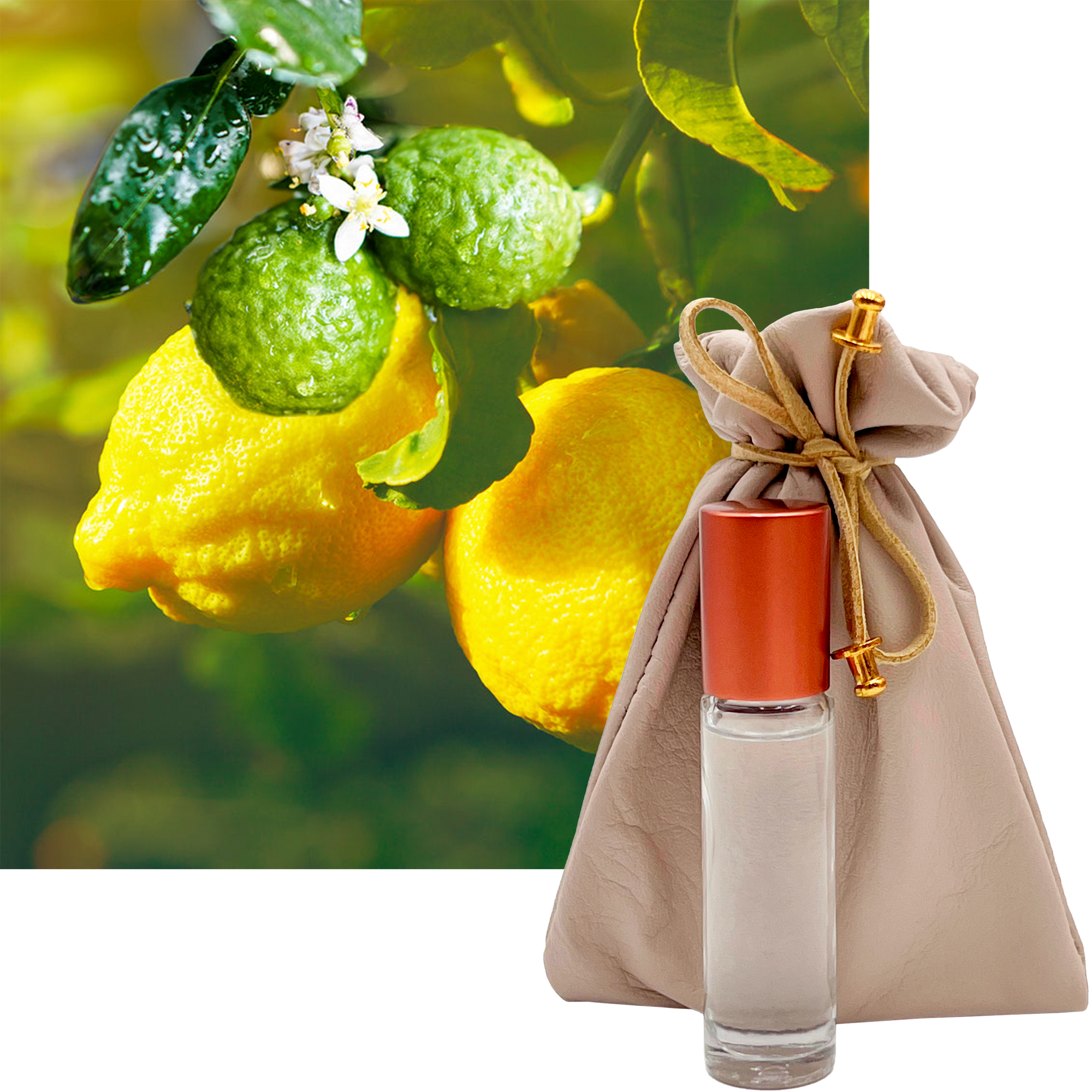 Citron French Perfume 10ml. Roll-On