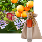 Desir Absolu French Perfume 10ml. Roll-On