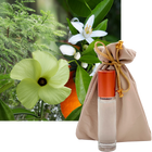 Fleurs du Jour / Marina Blue French Perfume 10ml. Roll-On