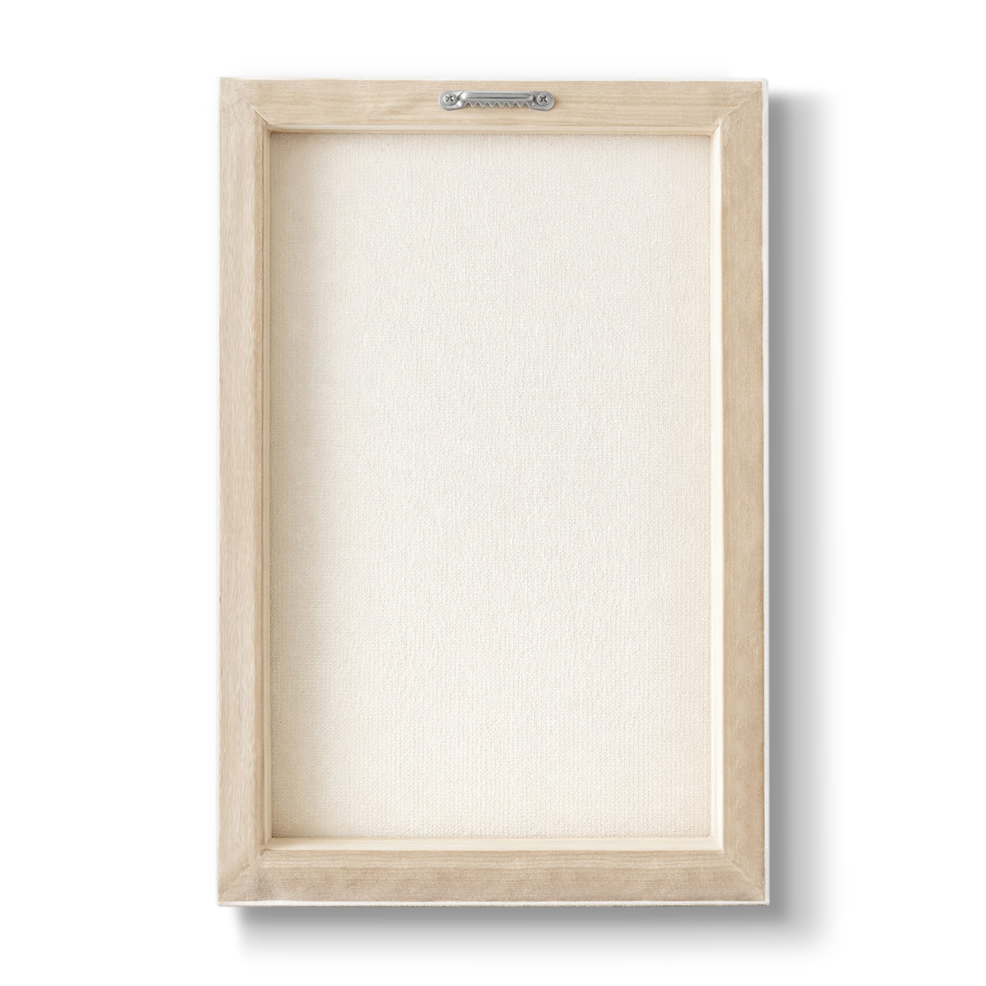 Annona muricata - Botanical Print