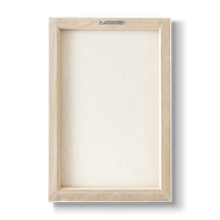 Annona muricata - Botanical Print