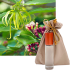 Tendre est la Nuit French Perfume 10ml. Roll-On