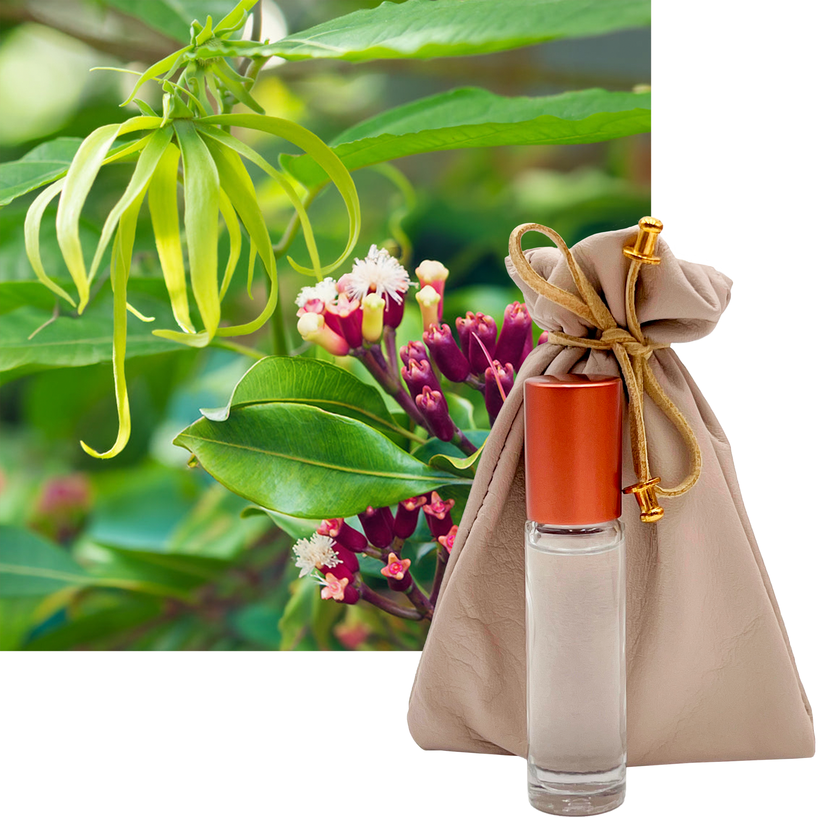 Tendre est la Nuit French Perfume 10ml. Roll-On